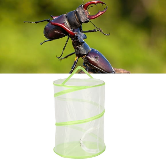 Cage, See Through Design Mesh Screen And Cage Top Zipper Opening Breathable Fine Mesh Cover Collapsible Mesh Cage