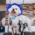 thumbnail image 2 of Cubierta de orejas de mascotas Sunnimix para perro Lindo METRO, 2 of 8