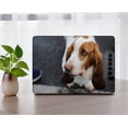 thumbnail image 5 of KSK KAISHEK Plastic Hard Shell Cover Only Compatible 2022 2021 2020 2019 2018 Release New MacBook Air 13" Retina Display and Touch ID + Black Keyboard Cover Model: A2337 m1&A2179&A1932 Animal A 0155, 5 of 5
