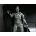 thumbnail image 5 of NECA Collectible Adult The Mummy Action Figure, Universal Monsters, 7”, 5 of 5