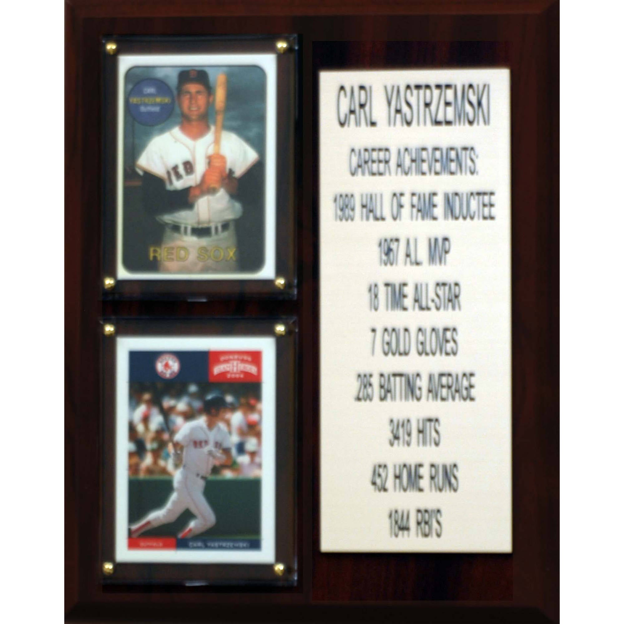 2007 Red Sox World Series Champions Collector Plaque w/8x10 Team Photo!
