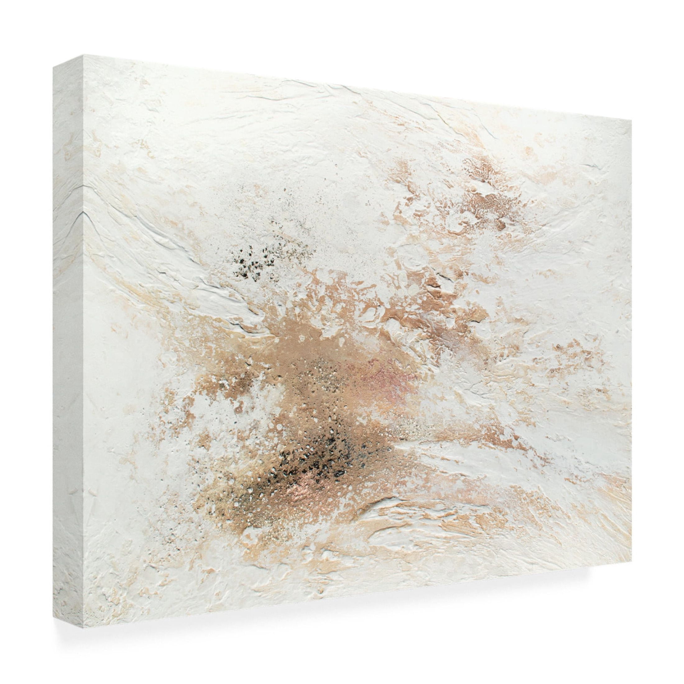 Trademark Fine Art Alyson Storms Journey of Snow Canvas Wall Art