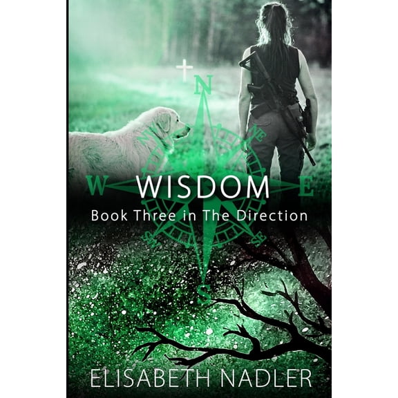Direction Wisdom: Book Three in The Direction Series, Book 3, (Paperback)