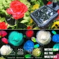 thumbnail image 6 of 10 LED 7-Color Changing Solar Rose Flower Lights Garden Decorations Outdoor Waterproof Decorative Stake Lights for Patio Pathway Yard Lawn Decor(2 PCS Red), 6 of 15