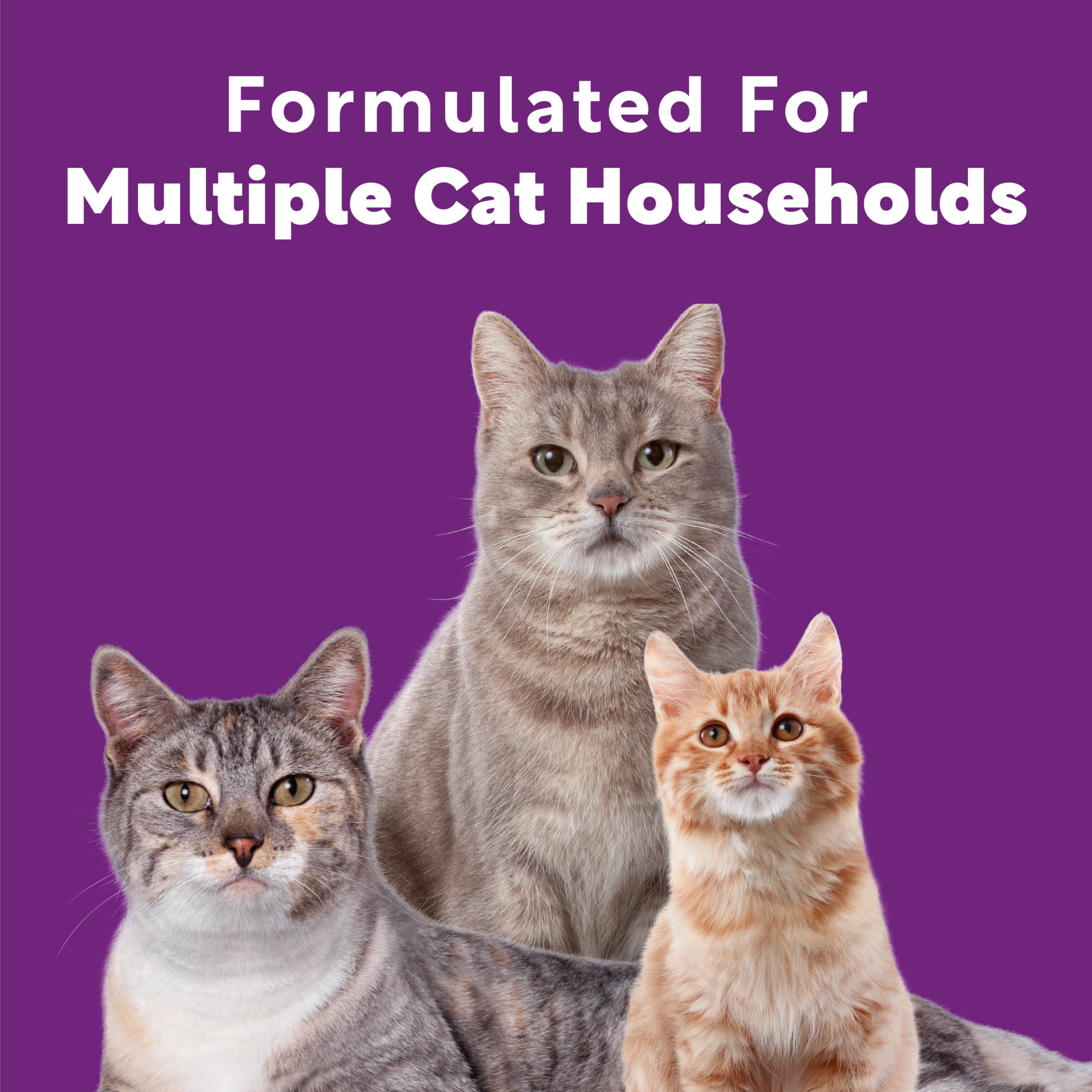 (3 pack) Scoop Away Multi-Cat Clumping Litter With Meadow Fresh Scent, 25 lb. Box