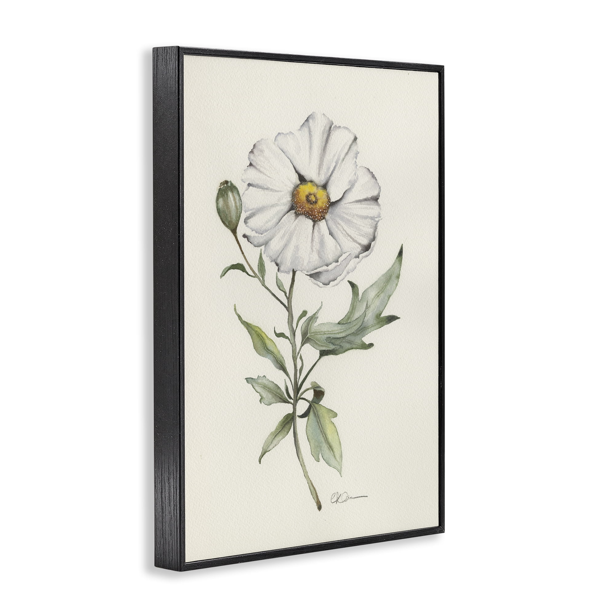 Stupell Industries Natural Wild Blossom Sprig Black Framed Giclee Art, design by Cady Driver