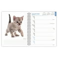 thumbnail image 3 of Kittens | 2024 6x7.75" Wire-O Engagement Planner Calendar | BrownTrout, 3 of 8
