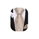 thumbnail image 1 of Set de corbata Barry.Wang champagne dorado con diseño paisley en seda, 1 of 6