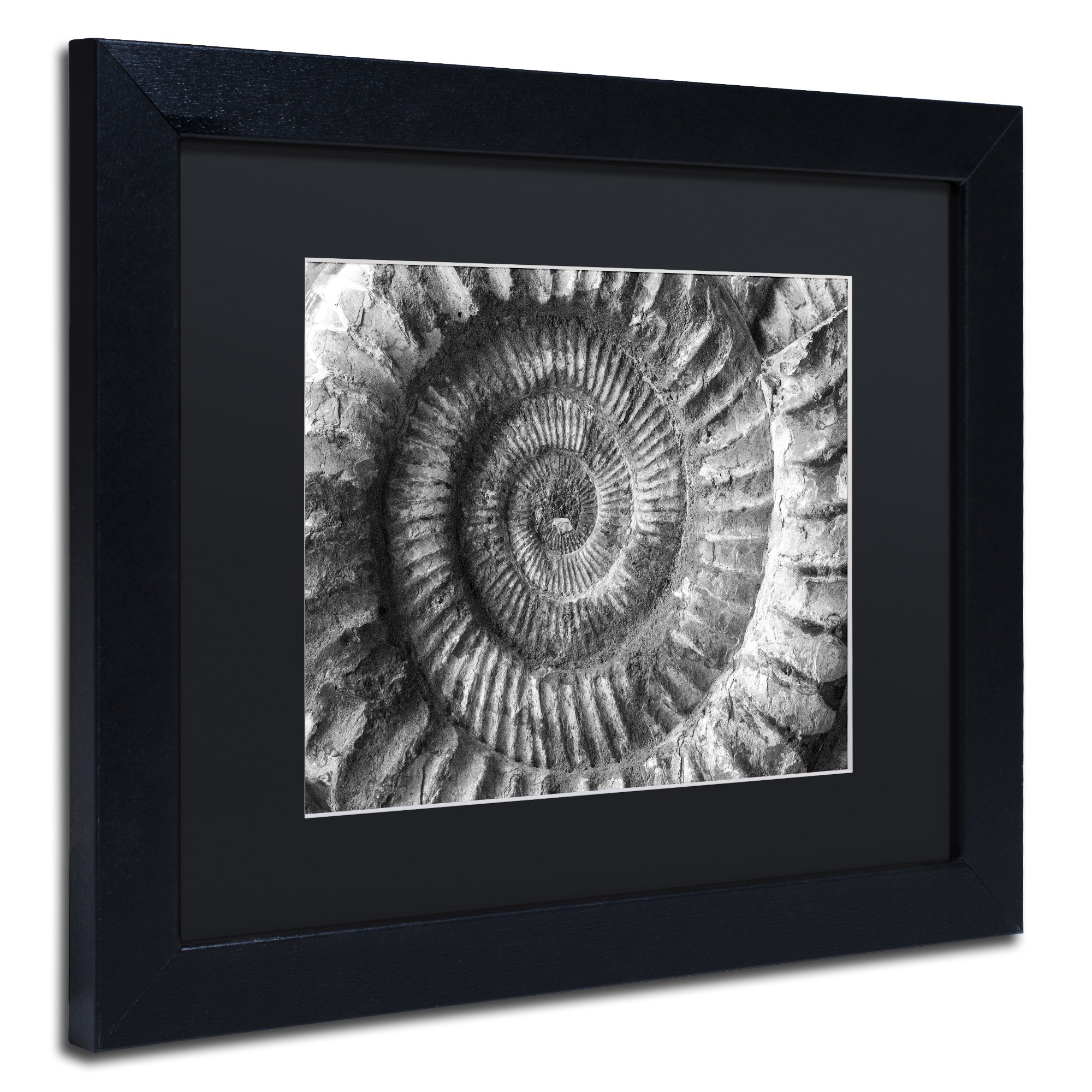 Trademark Fine Art "Amonita 2" Canvas Art by Moises Levy Black Matte, Black Frame