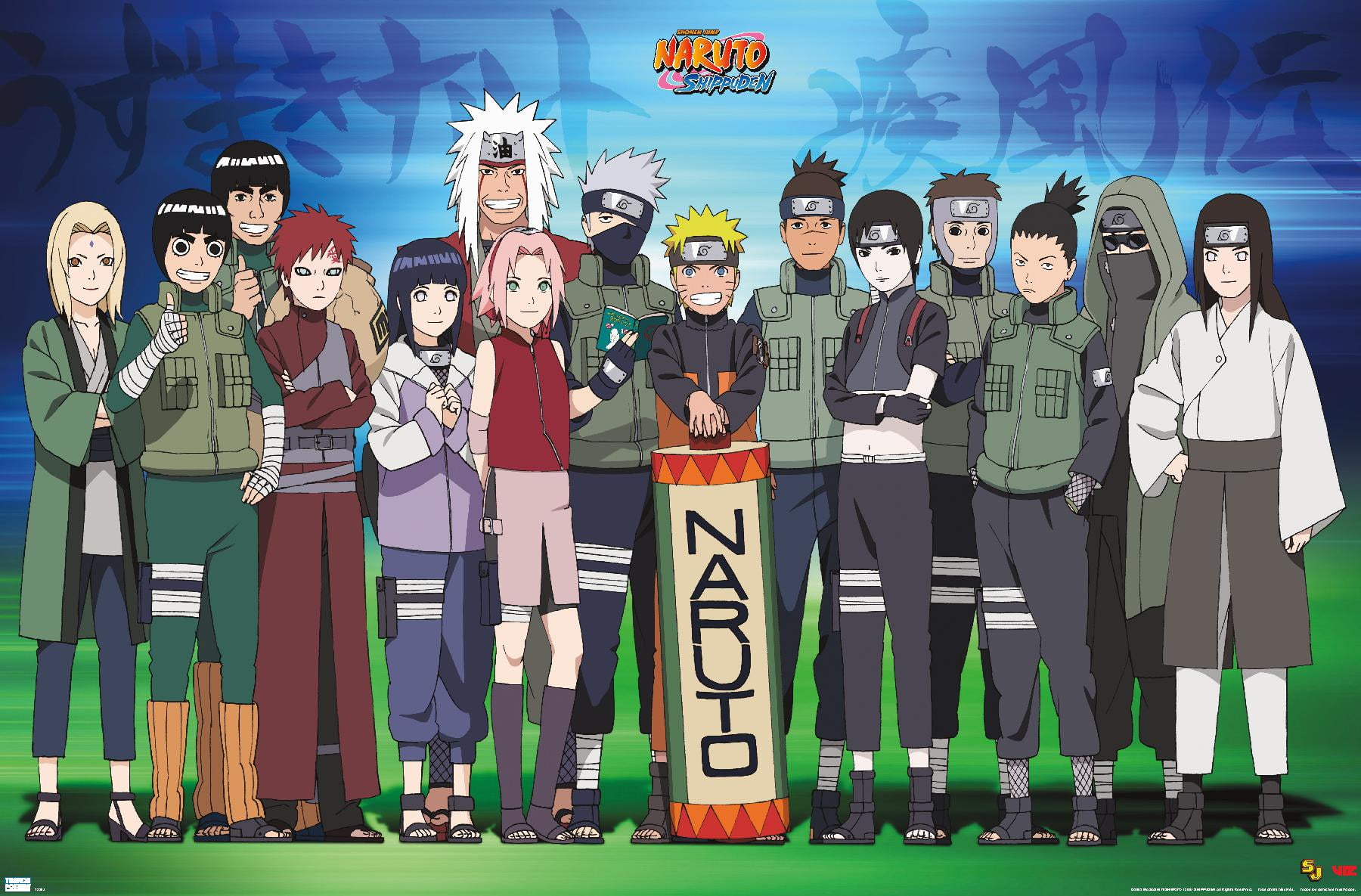 Naruto - Makimono Wall Poster, 22.375