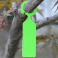 thumbnail image 5 of 100 etiqueta invernadero, para pntas de jardinería, colr colgante, etiqueta de plástico, 5 colores Verde Zulema etiqueta de círculo etiqueta de círculo, 5 of 5