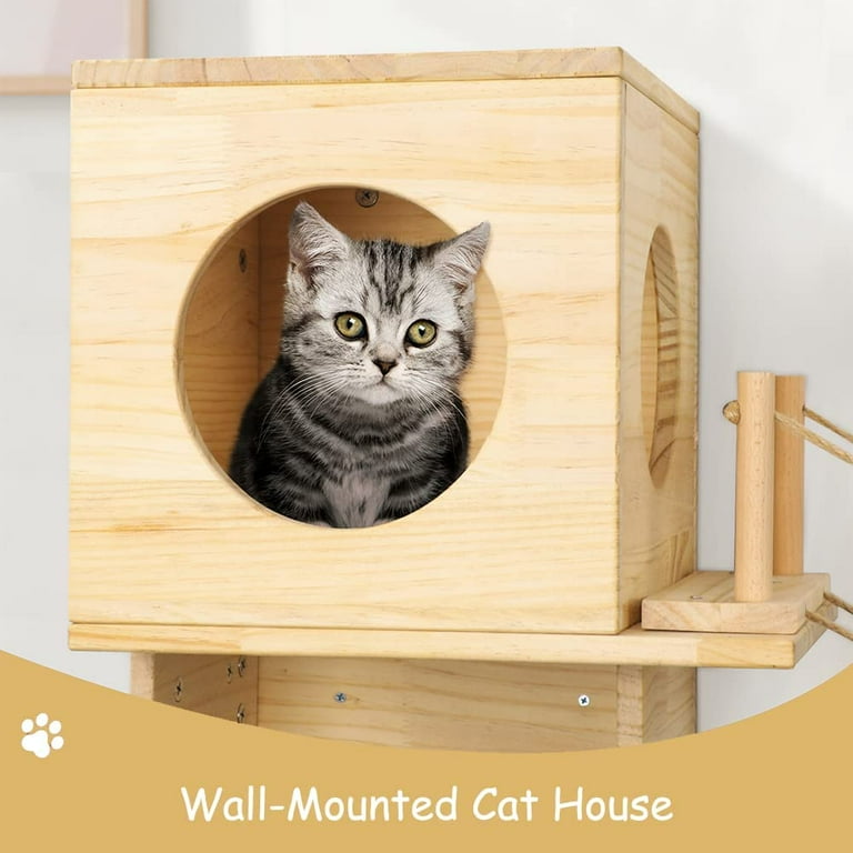 Cat best sale play shelves