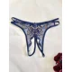 thumbnail image 1 of Braguitas transparentes con entrepierna abierta y bordado floral - Lencería y ropa interior sensual para mujer, 1 of 5