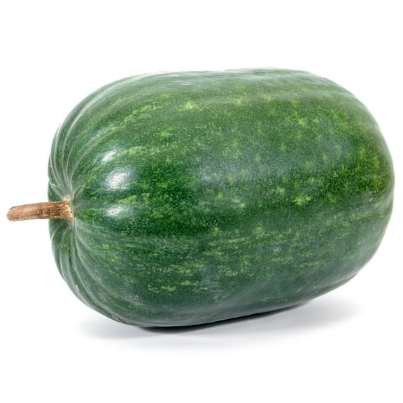 Mountain Valley Seed Company 60 Apple Large Plant Seeds, Non-GMO