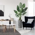 thumbnail image 5 of Artificial Tree in Contemporary Pattern Planter, Fake Bird of Paradise Silk Tree for Indoor and Outdoor Home Decoration - 67" Overall Tall (Plant Pot Plus Tree), 5 of 5