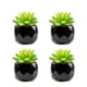 thumbnail image 5 of Billuyoard 4 pack/lote Plantas Suculentas Artificiales Para Espacios Interiores Y Exteriores Decoración De Balcones Plantas Falsas Baoshilian baoshiliano 2Conjunto, 5 of 6