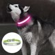 thumbnail image 3 of Dublin Dog todos los estilos collar de perro inodoro, 3 of 5
