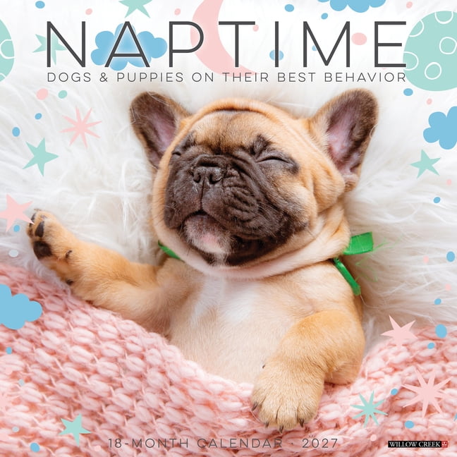 Naptime: Dogs & Puppies on Their Best Behavior 2027 12 X 12 Wall Calendar, (Paperback)