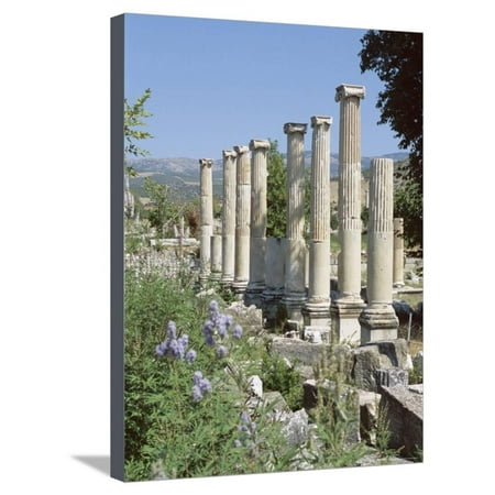 Columns, Archaeological Site, Aphrodisias, Anatolia, Turkey Stretched Canvas Print Wall Art By R H