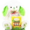 Alder Creek Gift Baskets Lindt Easter Bunny Gift Set. 2 pc