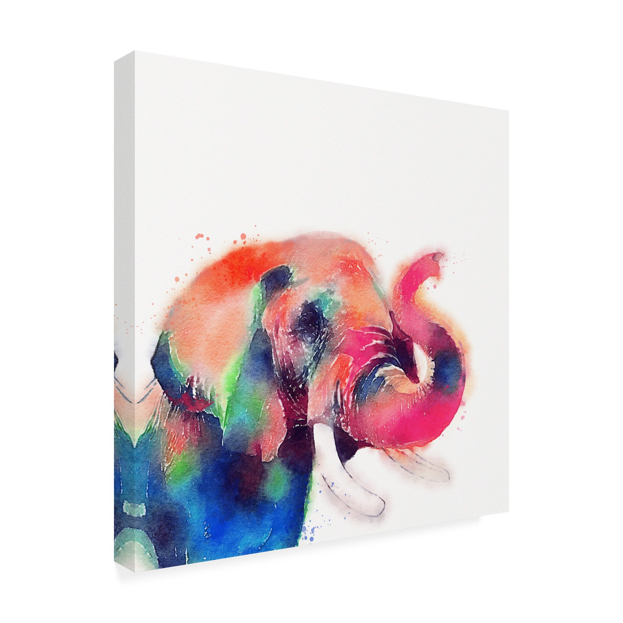 Trademark Fine Art 'The Majestic II' Canvas Art by Jacqueline Maldonad