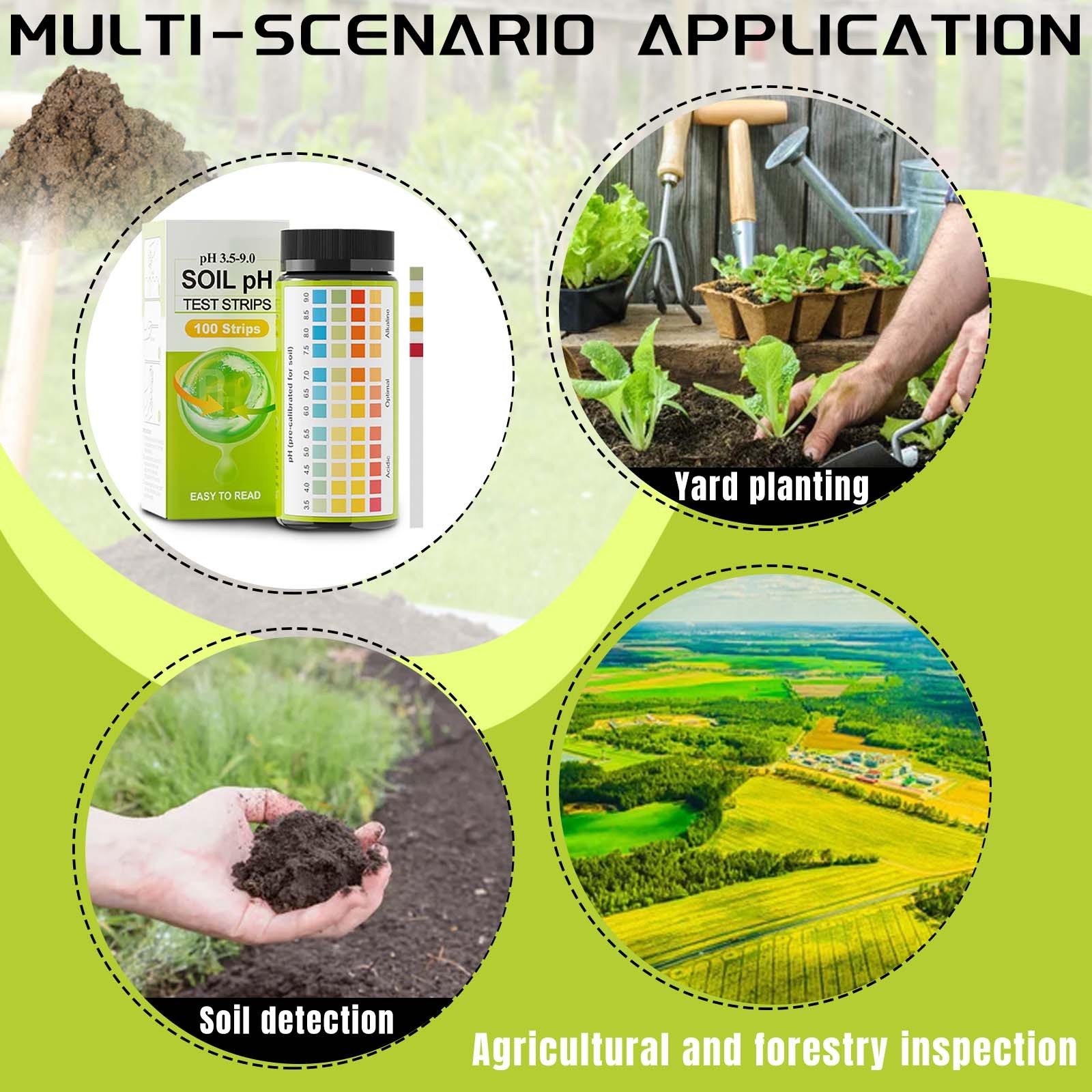 How to Test Garden Soil: Unlocking Growth Secrets