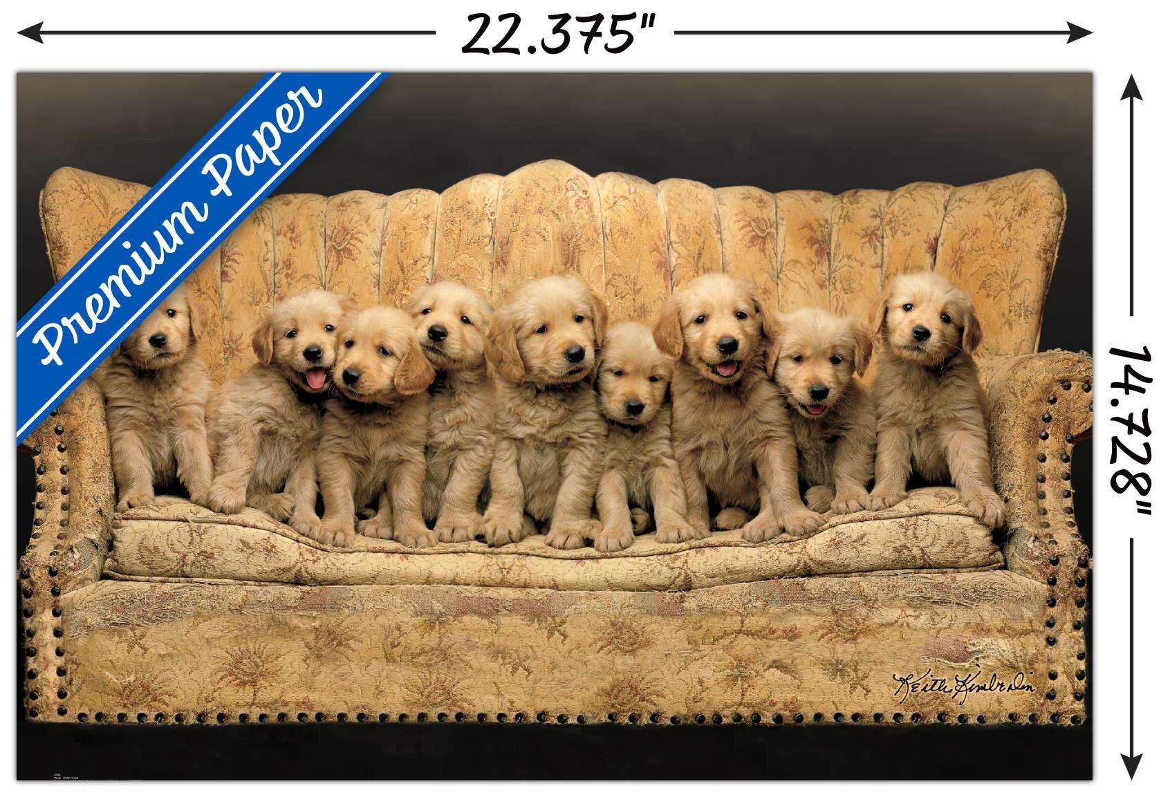 Keith Kimberlin - Puppies - Couch Wall Poster, 14.725" x 22.375"
