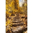 thumbnail image 2 of Sederquist, Betty 23x32 Gold Ornate Wood Framed with Double Matting Museum Art Print Titled - These stone stairs behind Sorensens Resort (now Wylder Hotel), 2 of 4