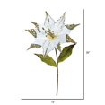 thumbnail image 2 of Vickerman OF161411 Cream Poinsettia Flower Stem, 26 & 12 in., 2 of 3