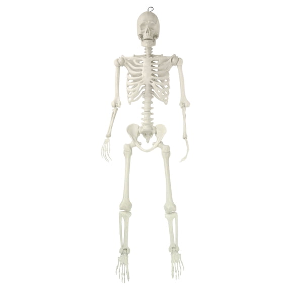 Hanging Posable Skeleton Decoration, White, 5', Halloween by Way To Celebrate