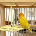 Visual Reference: Dynamic Rotating Bird Perch Multi Color Spinning Activity Station For