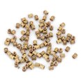 thumbnail image 1 of Moldedin Insert,M2.5 Brass Cylinder Knurled Embedded Nut Brass Insert Smooth Operation, 1 of 10