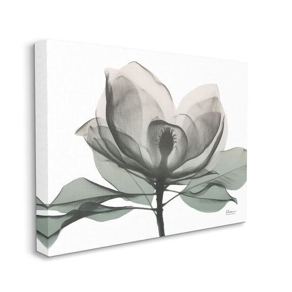 Stupell Industries White Magnolia Flower White Green Silhouette Canvas Wall Art by Albert Koetsier