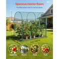 thumbnail image 2 of VEVOR Crop Cage, 5.9 x 2.98 x 4.9 ft Plant Protection Tent with Zippered Door, Wind-Resistant Tall Crop Cage, Easy to Install, Outdoor Raised Bed Cover with Frame, Plant Netting for Garden Patio Lawn, 2 of 9