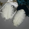 thumbnail image 5 of 20 Pcs Ostrich Feathers Bulk,Bexikou 8-10 Inch Natural Ostrich Feathers Plumes for Wedding Party Centerpieces DIY Crafts Vase Decorations (White), 5 of 7