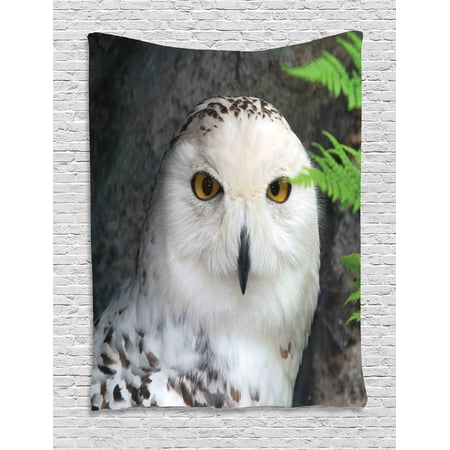- Wizard Tapestry, Pattern White Owl Themed Animal Green Leaves Amber Eyes Gift Witchcraft Print, Wall Hanging for Bedroom Living Room Dorm Decor, White Green Black, by Ambesonne