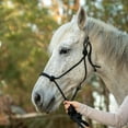 thumbnail image 3 of Jeffers Equine Poly Braided Rope Horse Halter with 8ft Lead Rope – Adjustable Training Halter for Horses, Ponies, Colts, Mustangs – Durable Knot Halter for Groundwork, Barn, Ranch Use - Black, 3 of 5