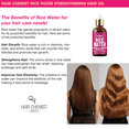thumbnail image 6 of Hair Chemist Rice Water Strengthening Hair Oil 1.65 oz., 6 of 8