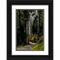 thumbnail image 1 of Murdock, Ramona 13x18 Black Ornate Wood Framed with Double Matting Museum Art Print Titled - Light in the Forest, 1 of 4
