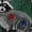 Gray, variant on Embroidered Patriotic Wildlife Sweatshirt, American Spirit 250th Anniversary Shirt, USA Native Animals Crewneck, Independence Day Gift