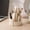 Beige, variant on Rotating Pen Holder for Desk, 360° Swivel Multi-Compartment Organizer, Lightweight Desktop Storage Caddy for Office Supplies, Makeup Brushes & Art Tools
