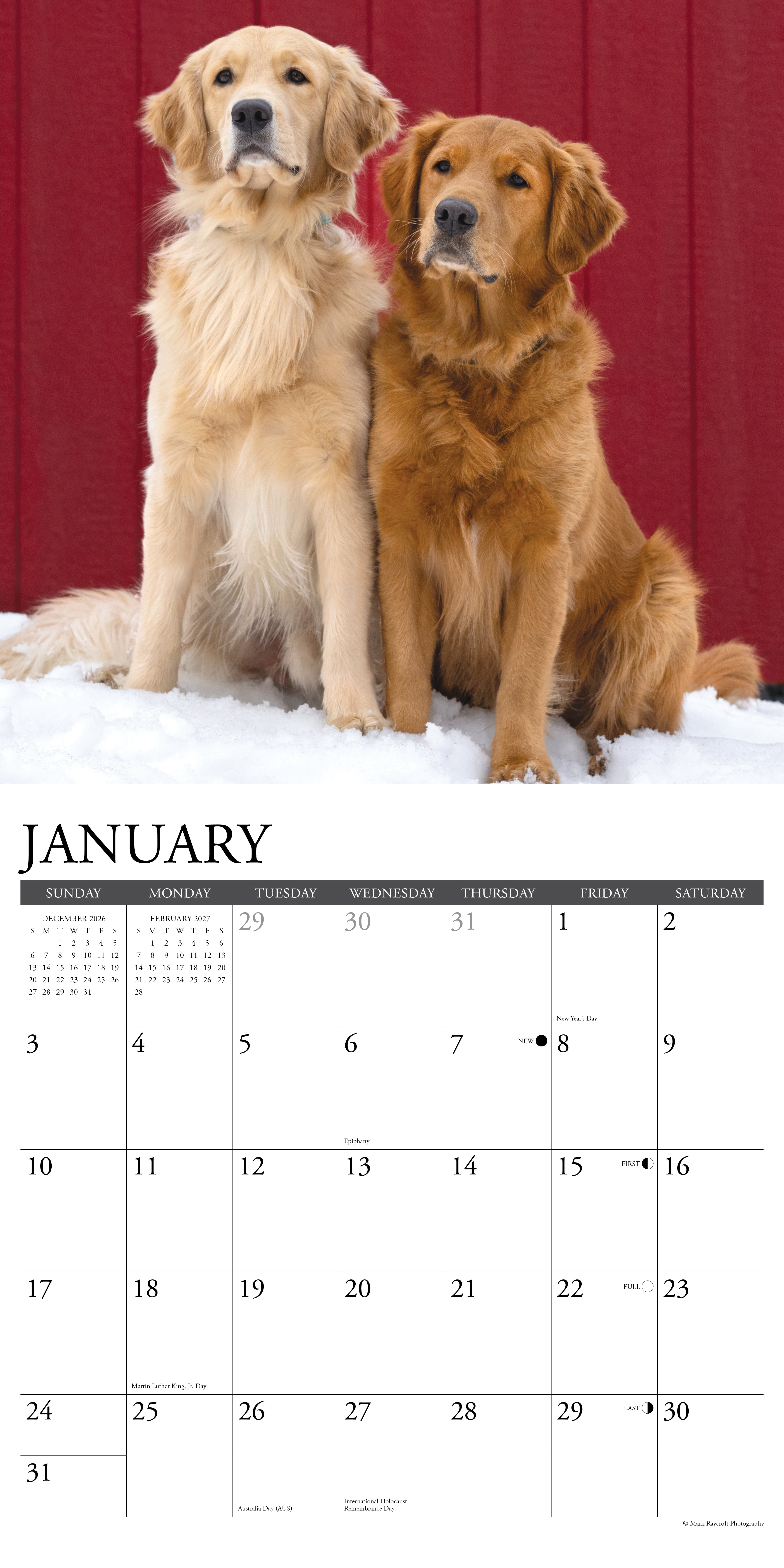 Willow Creek Press, Goldens 2027 Wall Calendar
