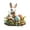 C, variant on Dongrere Easter Yard Decorations, Easter Garden Stakes, Eggs Decorations Outdoor with Stake for Yard, Planter, Lawns