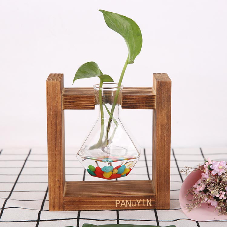 Glass Vase on Tree Root Wood Base Flower Succulent Terrarium Plant Display Stand 