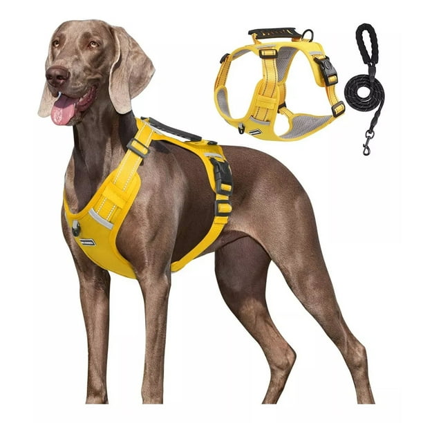 Pechera Arnés De Seguridad Para Perro Chico Mediano Y Grande