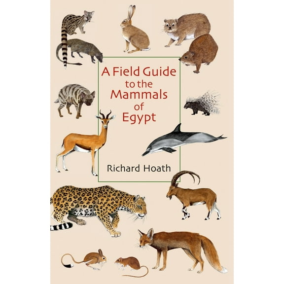 A Field Guide to the Mammals of Egypt, (Paperback)
