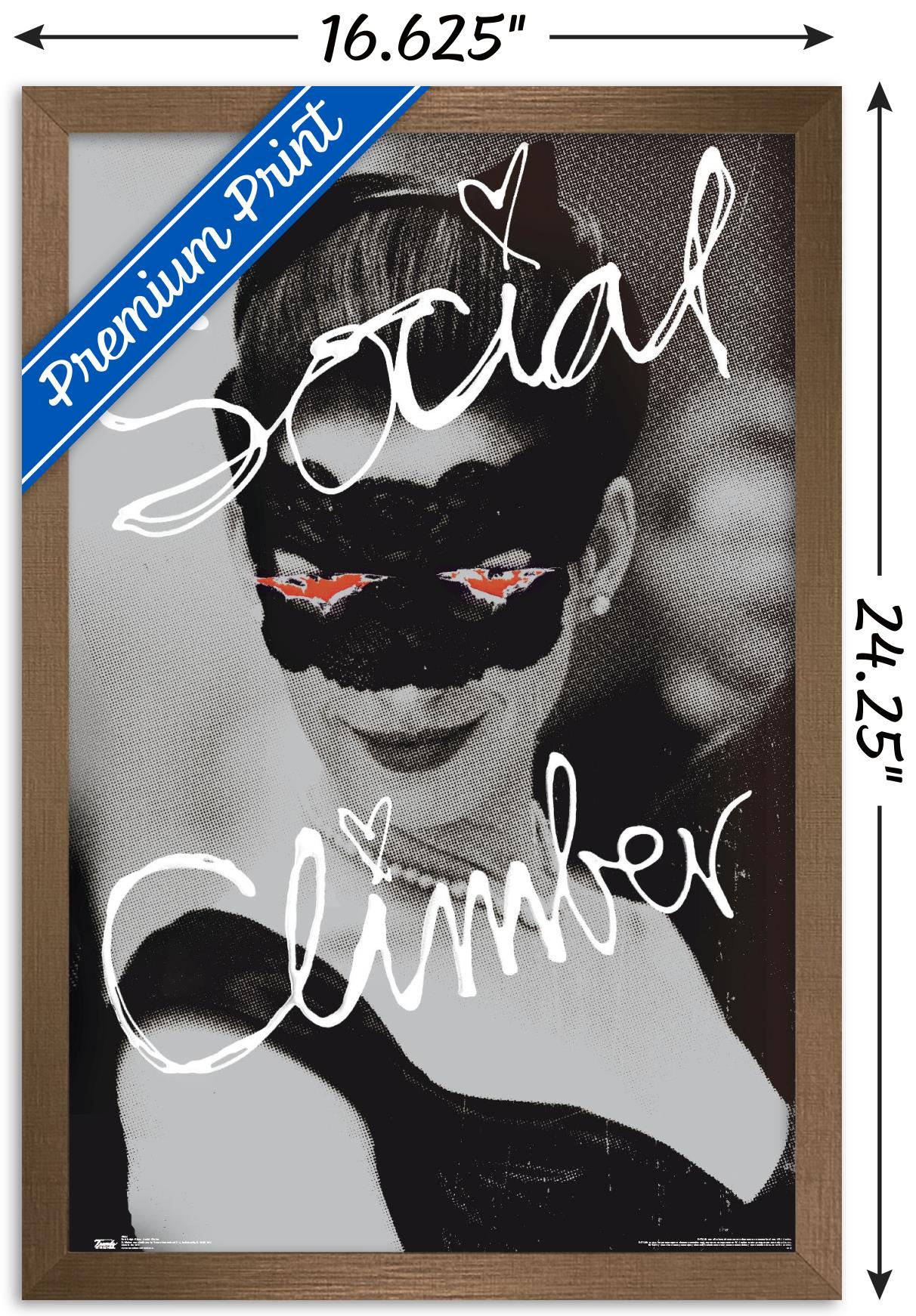 DC Comics Movie - The Dark Knight Rises - Catwoman - Social Climber Wall Poster, 14.725" x 22.375", Framed