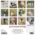 English Setter Calendar 2025 