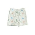 thumbnail image 2 of Musuos Toddler Boys Swim Shorts 6M 12M 18M 24M 3Y 4Y Casual Elastic Waist Cute Dinosaur Print Swim Trunks for Baby, 2 of 10