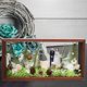 thumbnail image 3 of Caja de sombra de madera, vitrina de flores secas, regalos de bricolaje, marco de fotos flotante 6 pulgadas, 3 of 9